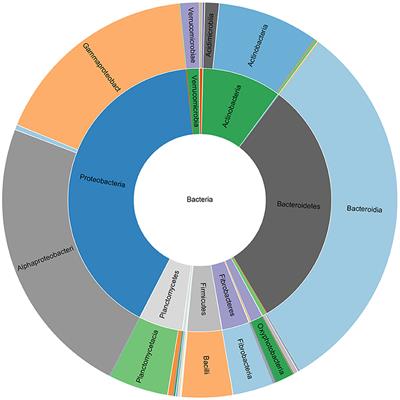 Bacteria Associated With a Commercial Mycorrhizal Inoculum: Community Composition and Multifunctional Activity as Assessed by Illumina Sequencing and Culture-Dependent Tools